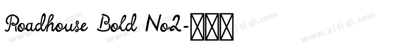 Roadhouse Bold No2字体转换